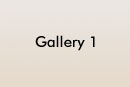 Gallery 1